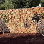 Secret Garden Lefkada * Frinion