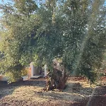 Апартаменты Secret Garden Lefkada *
