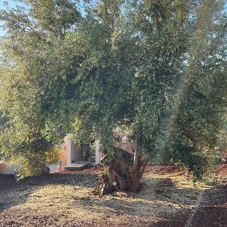 Lägenhet Secret Garden Lefkada *