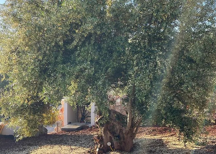 Apartamento Secret Garden Lefkada *